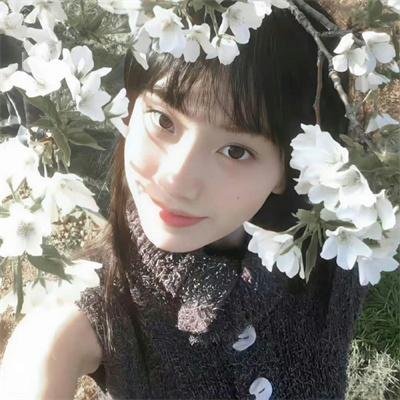 蛇蝎美人第二季